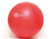 ZOGA_SISSEL®_Exercise_Ball,_55cm